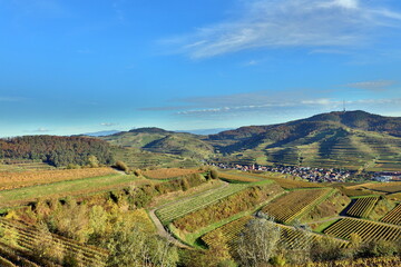 Oberbergen am Kaiserstuhl zwischen Weinbergen