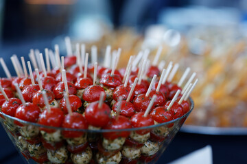 Tomatenspieße mit Mozzarella, Fingerfood, Catering bei einer Feier