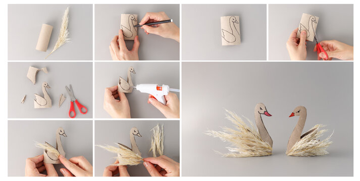Step-by-step collage of DIY swan craft with cardboard tube and pampas grass on grey background, tutorial for creative crafting, perfect for instructional material and hobby workshop design
