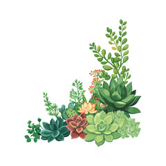 Green Succulent Garden Plant Arrangement Vector Illustration
