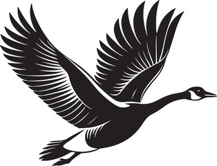 Obraz premium Whooper Swan vector illustration