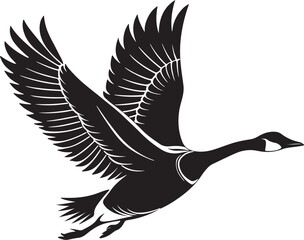 Obraz premium Whooper Swan vector illustration