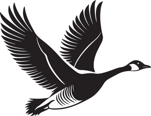 Fototapeta premium Whooper Swan vector illustration