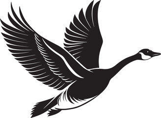 Obraz premium Whooper Swan vector illustration