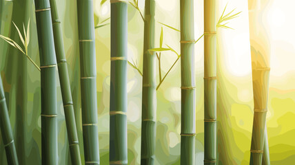 Fototapeta premium Bamboo Forest with Sunlight