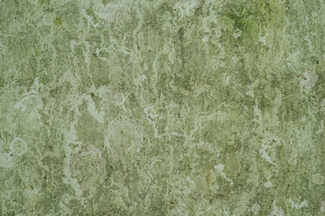 green wall texture. Weathered and aged concrete surface.
