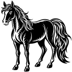 Horse on White Background