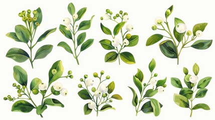 Christmas watercolor clipart festive greenery and berries botanical illustrations soft palette holiday decor concept