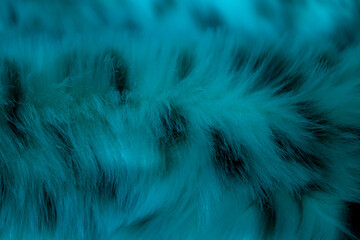 Obraz premium turquoise velour plush cloth textured background