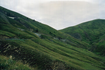 Mountain landscape along the road to Col d Allos, Provence-Alpes Cote d Azur, France