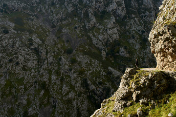 Lone Hiker on Rocky Cliff Edge