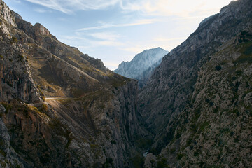 Rugged Mountain Gorge with Winding Path