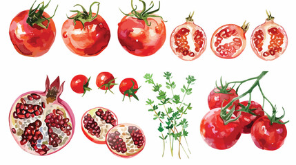 Bountiful Watercolor Set of Cherry Tomatoes, Pomegranate, and Thyme Isolated