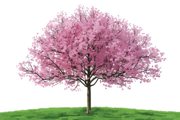 Fototapeta premium Cherry Tree Green Field Single Clipart Isolated