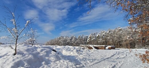 holzstapel im winter