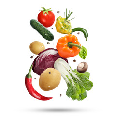 Fresh vegetables, herbs and spices in air on white background