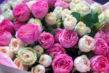 A large bouquet of pink and white roses close-up. Congratulations on the holiday. Love and tenderness. Close up