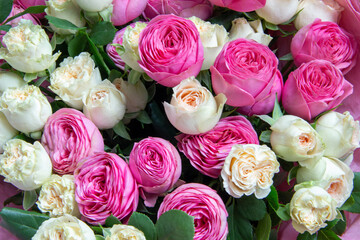 A large bouquet of pink and white roses close-up. Congratulations on the holiday. Love and tenderness. Close up