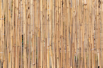 harmonic pattern of dried brown bamboo as fence background