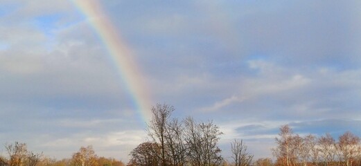 regenbogen