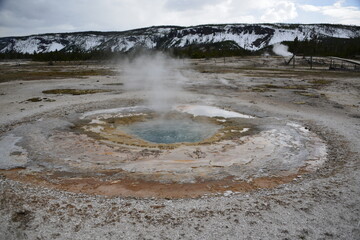 Scenic views of Yellowstone National Park with geysers and wildlife. USA