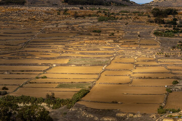 Victoria, Gozo Island, Malta Sun-drenched agricultural landscapes surrounding the capital Victoria.