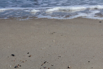 Close-up of a sandy beach with small scattered shells, as gentle ocean waves approach the shore, creating a peaceful and serene coastal scene