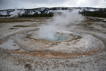Scenic views of Yellowstone National Park with geysers and wildlife. USA