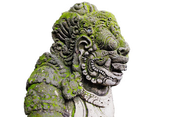 green moss and lichen growing on ancient lion stucco statue is god and belief in Hinduism with...