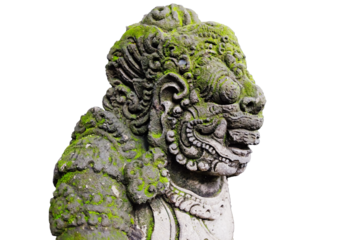 green moss and lichen growing on ancient lion stucco statue is god and belief in Hinduism with religion and culture on the Bali Island for clip art and element