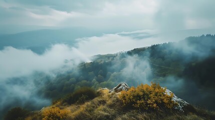 Fototapeta premium A misty landscape with rolling hills, lush greenery, and vibrant autumn foliage.