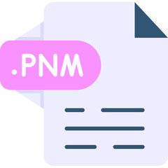 PNM Icon