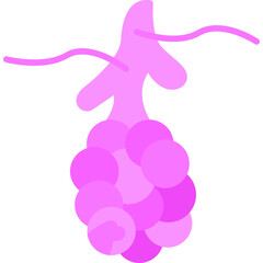Alveoli Icon
