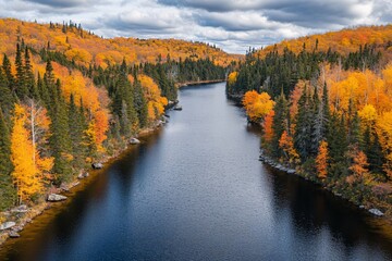 Drone view of a wide river surrounded by vivid autumn foliage in a deciduous forest, golden leaves reflecting on calm water, afternoon light 4