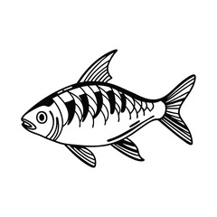 Hilsa, hilsha, ilisha design, labeled line and fill art a vector silhouette illustration.