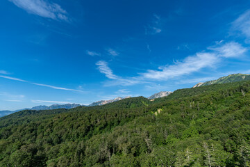Fototapeta premium 夏空の白馬岳
