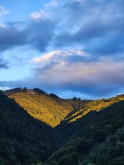 Carpathian Mountains