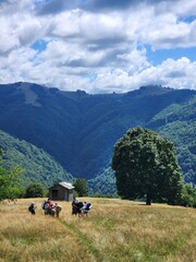 Carpathian Mountains