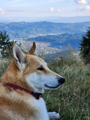 Carpathian Mountains