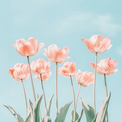 Obraz premium Pink tulips against a light blue sky background in high definition photography photos with delicate details and high resolution. generative ai