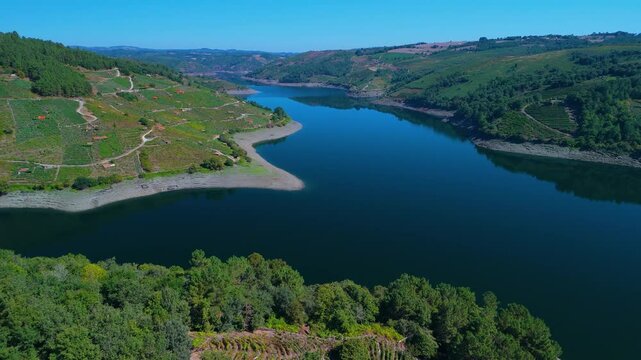 Vineyard landscape around the Belesar reservoir. Aerial view from a drone. Province of Lugo. Galicia. Spain. Europe