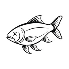 rui, rohu fish vector design, labeled line art and linocut silhouette illustration.