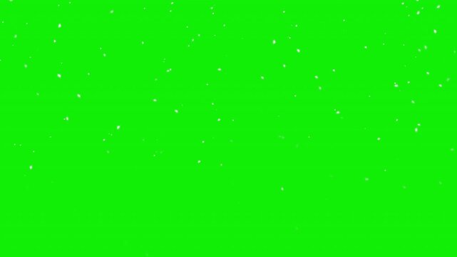 Realistic snow fall seamless loop animation. Falling snowflakes isolated on green background for chroma key. Stock video animation