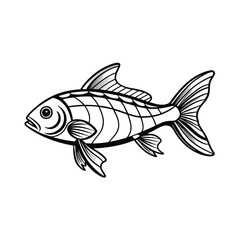 rui, rohu fish vector design, labeled line art and linocut silhouette illustration.