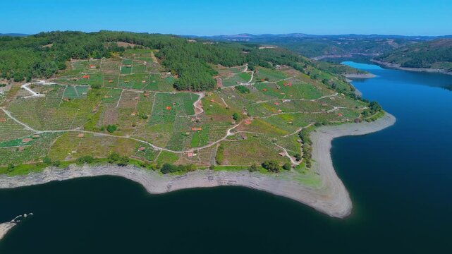 Vineyard landscape around the Belesar reservoir. Aerial view from a drone. Province of Lugo. Galicia. Spain. Europe