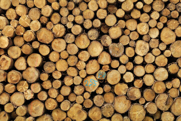 A large stack of neatly piled tree logs, showcasing the natural patterns of the wood grain.