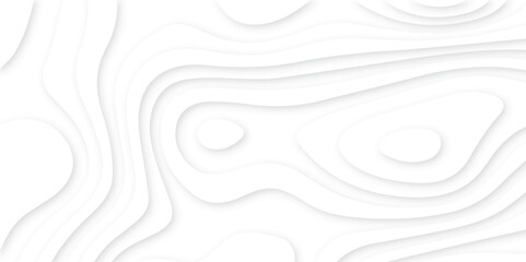 White luxury paper cut background, 3d illustration abstract background, wavy line 3d paper cut white background, wavy layers with modern papercut decoration textured.	
