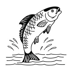 rui, rohu fish vector design, labeled line and fill art silhouette illustration.