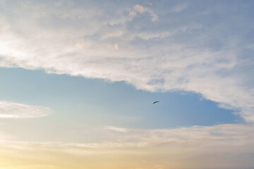 Fototapeta premium Serene Sky with a Solitary Bird