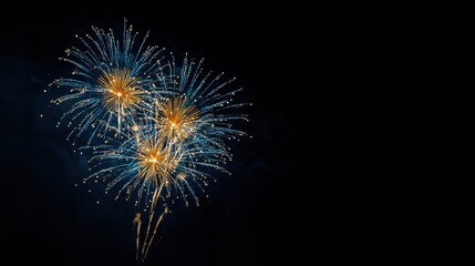 Obraz premium Brilliant fireworks in blue and yellow lighting up the black sky, with space for writing below.